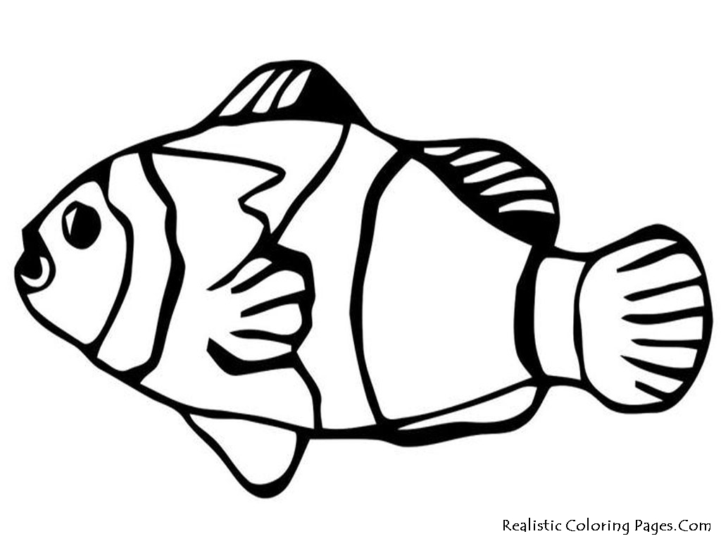 1024X768 Nemo Fish Drawing For Kids - Nemo Fish Black And White, Transparent background PNG HD thumbnail