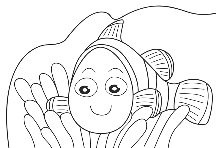 727X498 Nemo Preschool Coloring Pages Fish Cartoon Coloring Pages Of - Nemo Fish Black And White, Transparent background PNG HD thumbnail