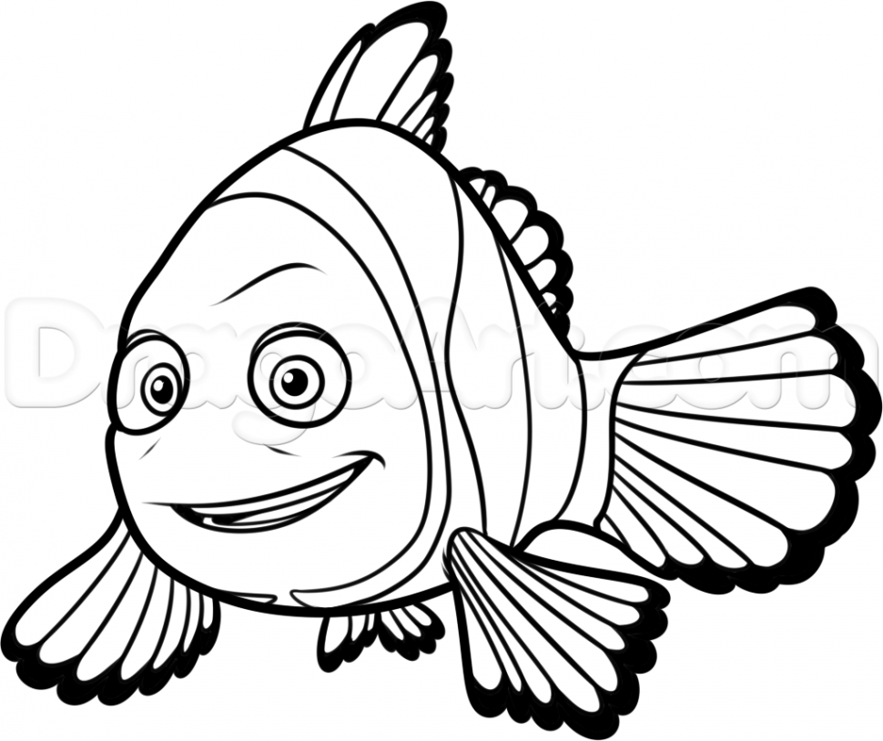 970X814 Coloring How To Draw Marlin From Finding Dory Step By Disney - Nemo Fish Black And White, Transparent background PNG HD thumbnail