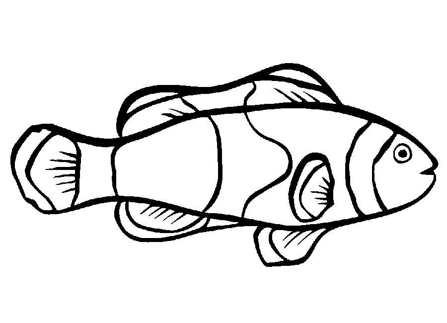 Clipart Info - Nemo Fish Black And White, Transparent background PNG HD thumbnail