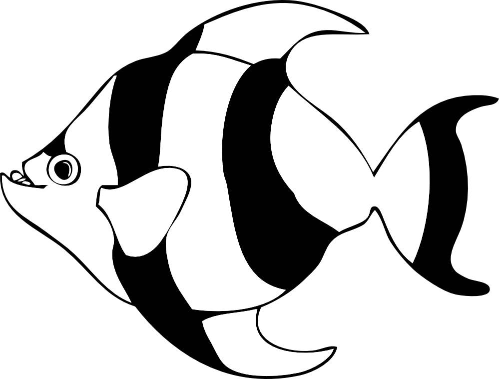 Fish Clip Art Black And White - Nemo Fish Black And White, Transparent background PNG HD thumbnail
