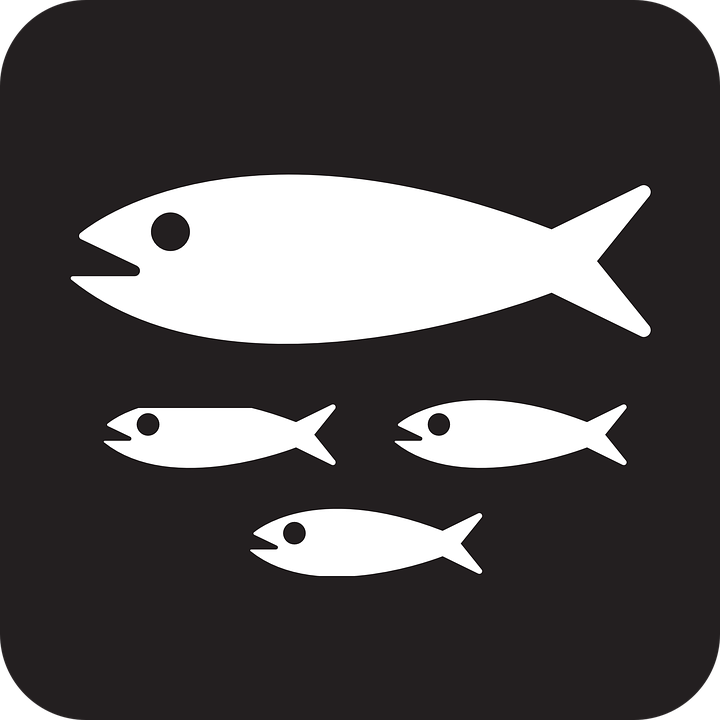 Fish Family Animals Nemo Black Symbol Sign Icon - Nemo Fish Black And White, Transparent background PNG HD thumbnail