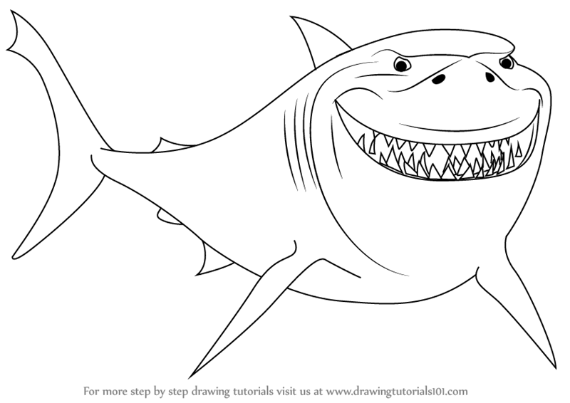 How To Draw Bruce From Finding Nemo - Nemo Fish Black And White, Transparent background PNG HD thumbnail