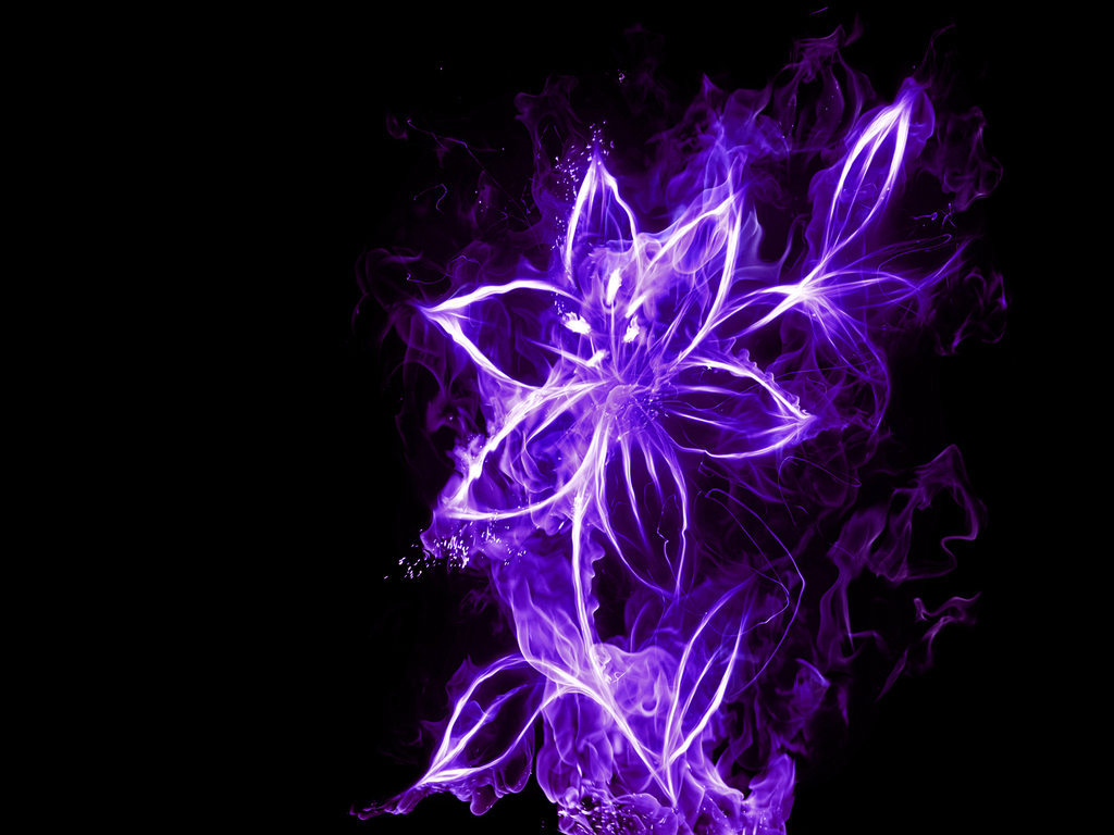 Neon Backgrounds | Free Neon Flower Wallpaper   Download The Free Neon Flower Wallpaper . - Neon Flower, Transparent background PNG HD thumbnail