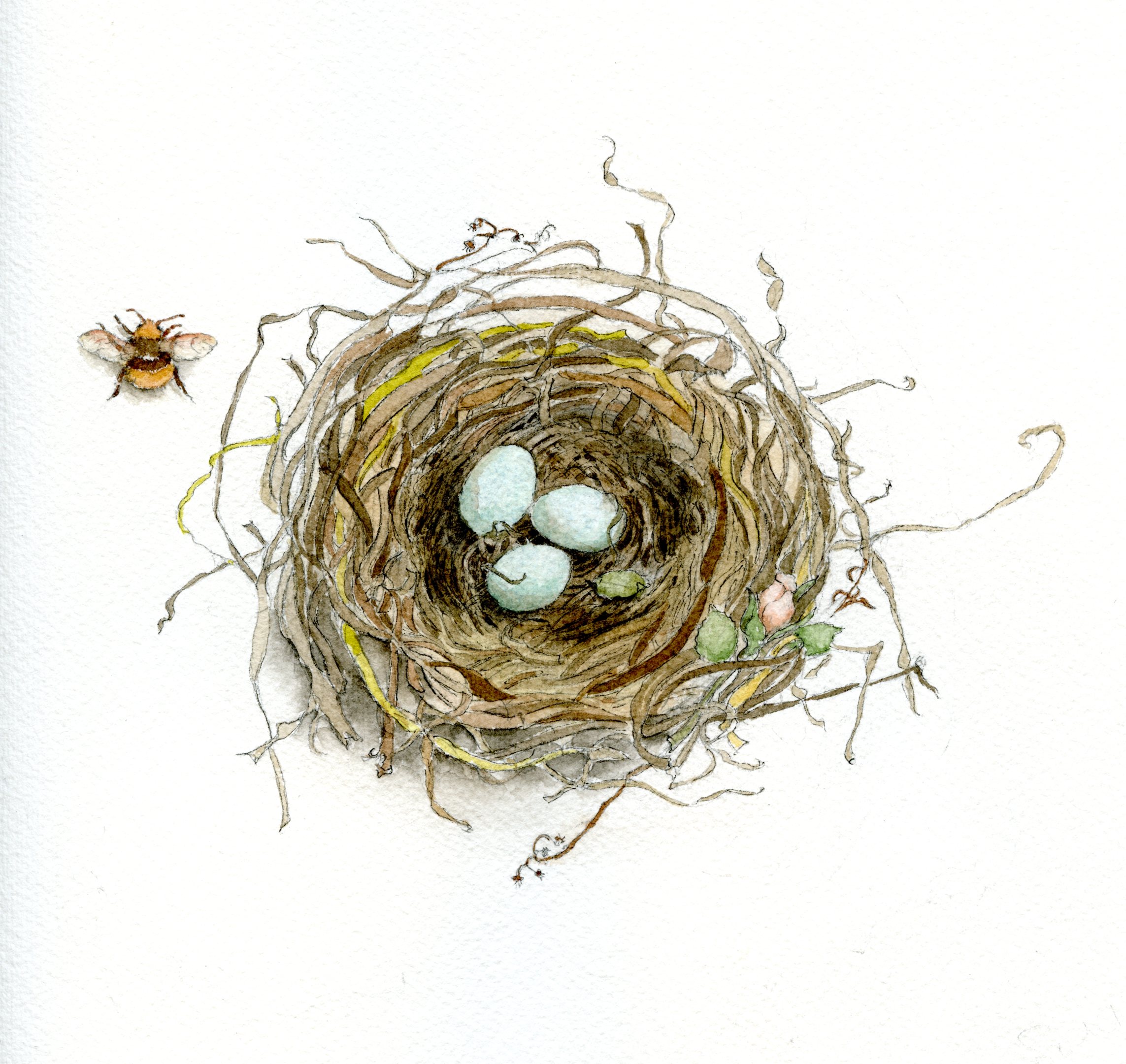 File:Nest 2 (PSF).png