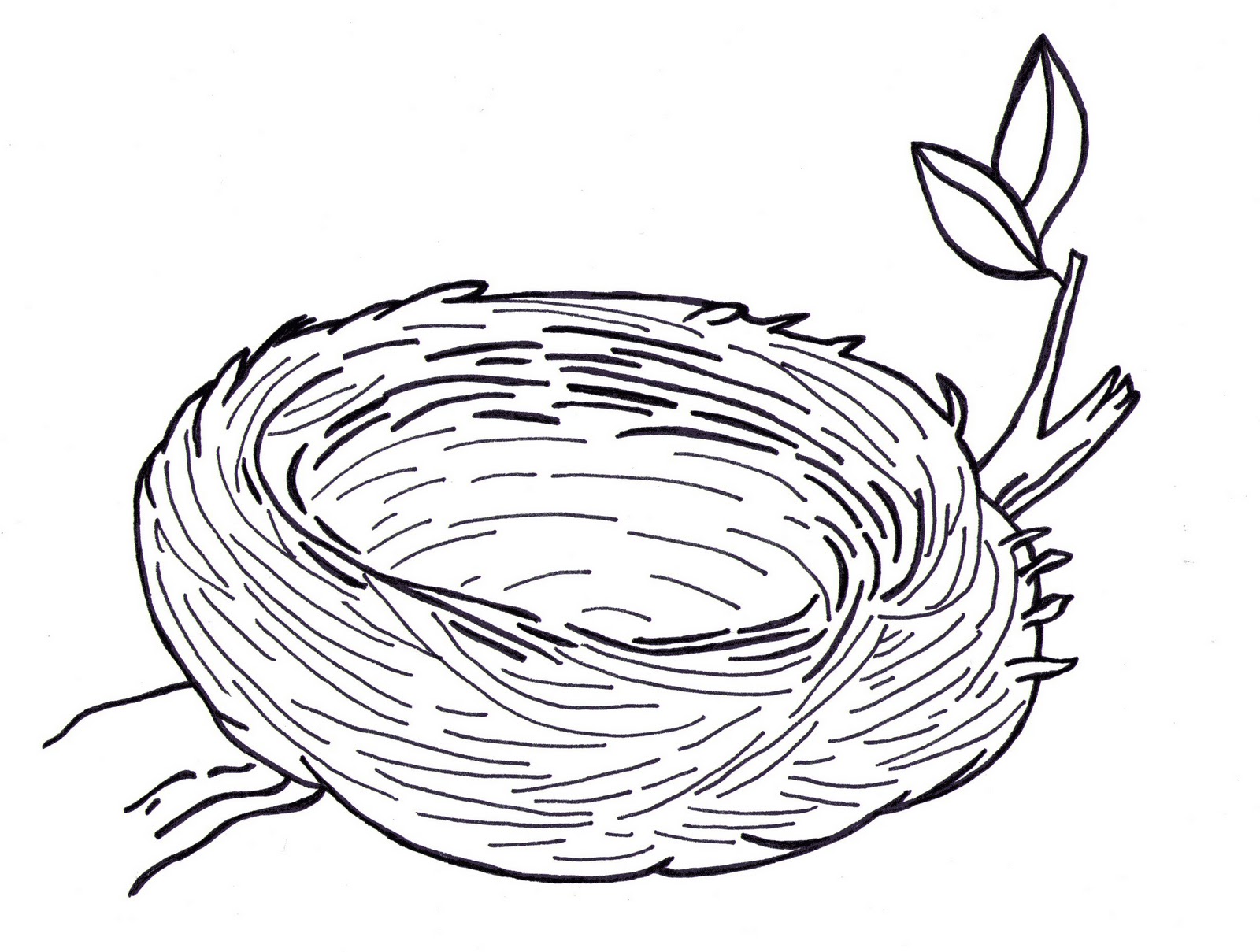 Nest Outline Cliparts, Nest Drawing PNG - Free PNG