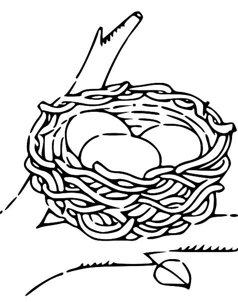 pin Nest clipart sketch #8
