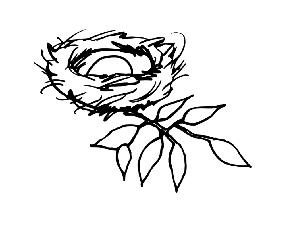 Nest Drawing PNG-PlusPNG.com-