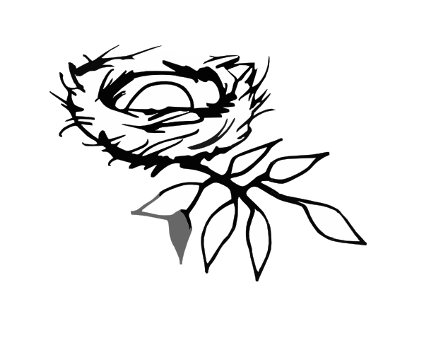 Nest Drawing PNG-PlusPNG.com-