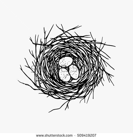 Bird Nest by Drewfjalsgaming
