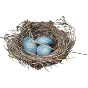 Ial_Sng_Nest.png - Nest, Transparent background PNG HD thumbnail