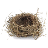 Nest PNG File