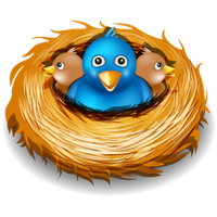 Nest Png Pic PNG Image
