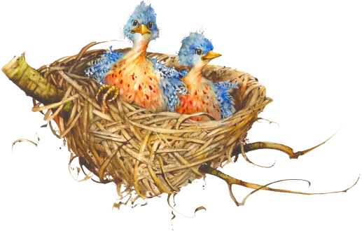 Nest High-Quality Png PNG Ima