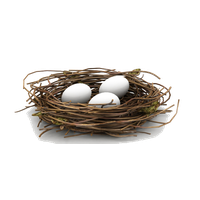 Nest Png Hd Png Image - Nest, Transparent background PNG HD thumbnail