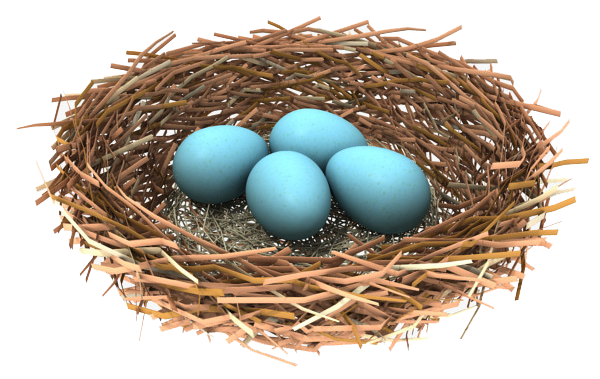 Nest PNG File