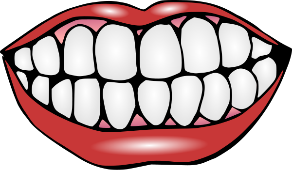 Cartoon Mouth With Teeth Clipart - Ngiti, Transparent background PNG HD thumbnail