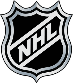 I Hesitated At The Time And Figured Iu0027D Hold Off Because I Knew That The Nhl And The Hdpng.com  - Nhl, Transparent background PNG HD thumbnail