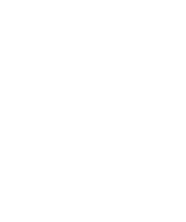 dev-niantic-logo