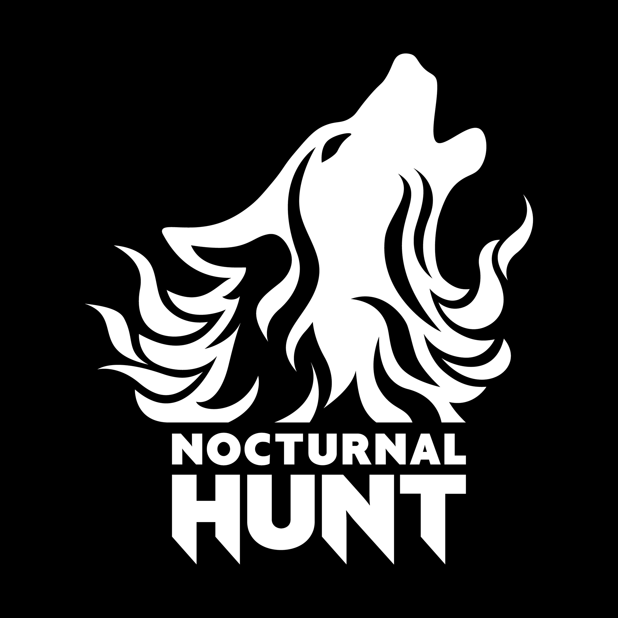 Boxart - Nocturnal, Transparent background PNG HD thumbnail