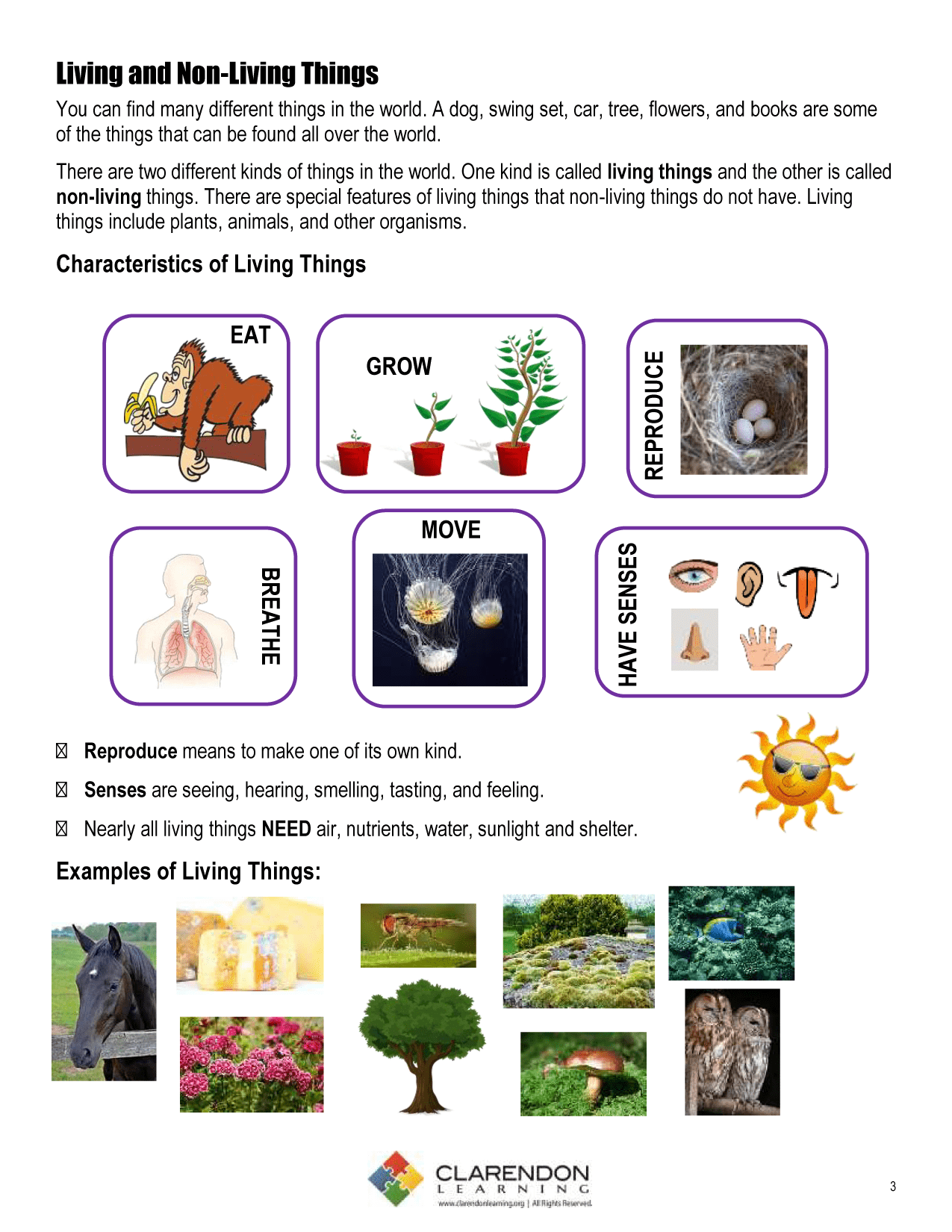 Non Living Things Pictures For Kids PNG - Living_and_nonliving_t