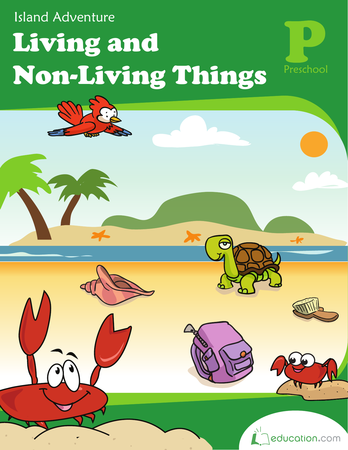 Non Living Things Pictures For Kids PNG - Science Workbooks