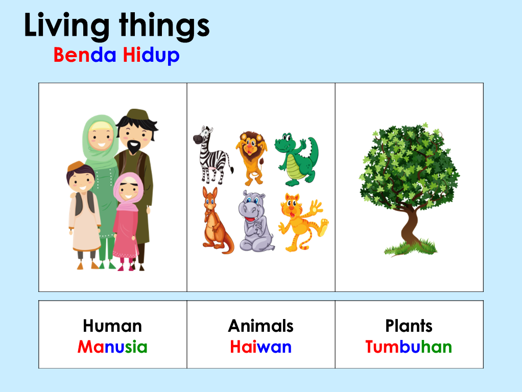 The World Around Us Is Filled With A Variety Of Things. These Things Can Be Classified As Living And Non Living Things. Plants, Animals And Human Beings Are Hdpng.com  - Non Living Things Pictures For Kids, Transparent background PNG HD thumbnail