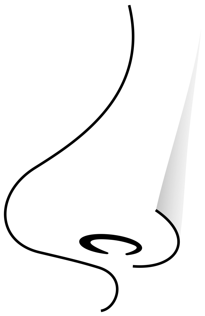Nose PNG Image