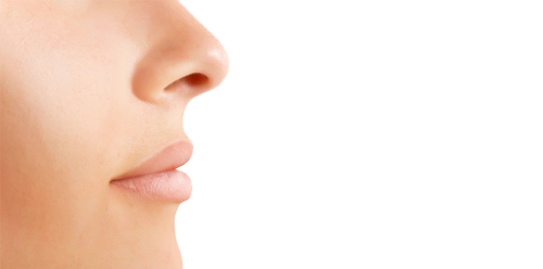 Nose Png Image - Nose, Transparent background PNG HD thumbnail