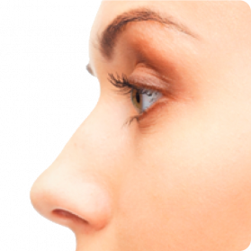 Nose Png Transparent - Nose, Transparent background PNG HD thumbnail