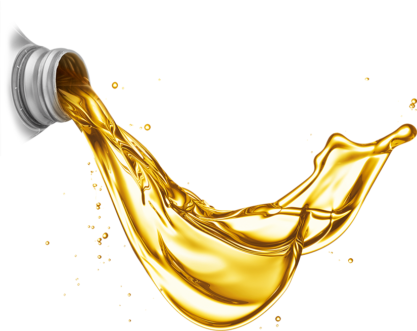 Cooking oil, Golden, Liquid F
