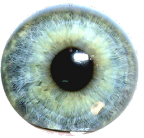 3 Ojo Png By Sofiachicle Hdpng.com  - Ojo, Transparent background PNG HD thumbnail