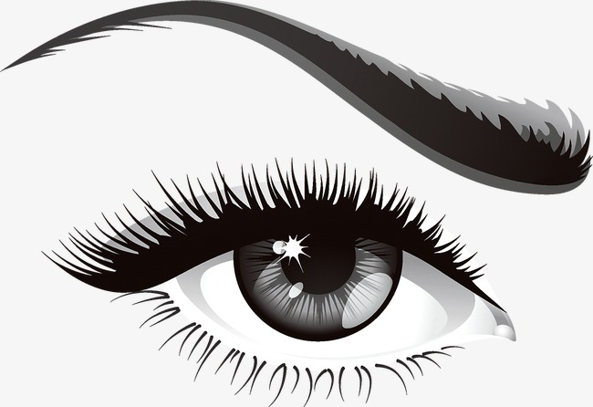 Ojo Libre Png Y Vector - Ojo, Transparent background PNG HD thumbnail