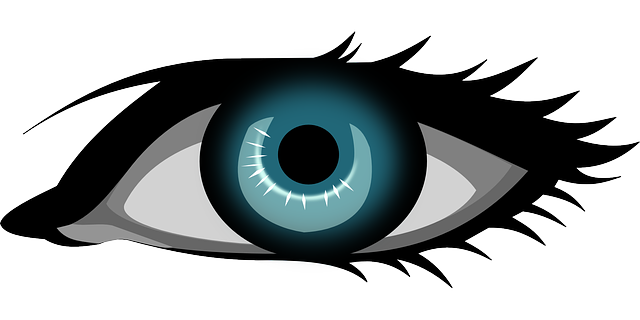 Vector Gratis: Ojos, Ojos Azules, Macro, Cerrar   Imagen Gratis En Pixabay   41075 - Ojo, Transparent background PNG HD thumbnail