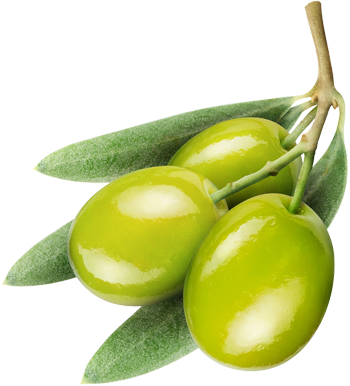 An olive
