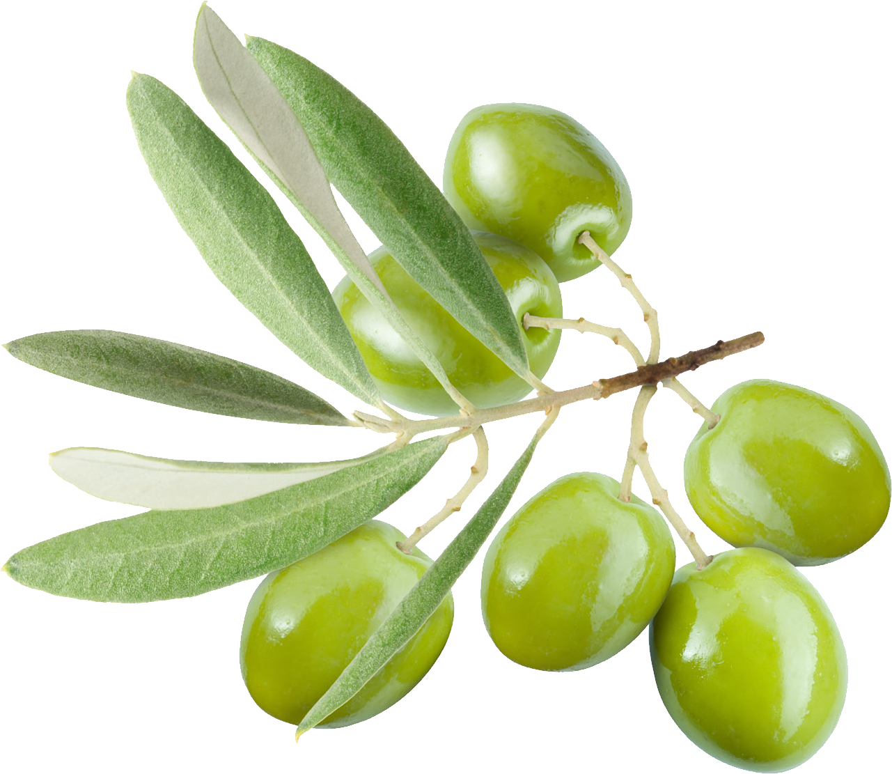Olive PNG Transparent Image