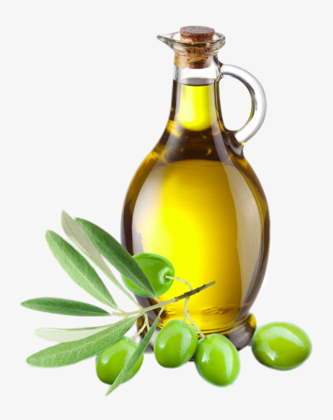 Olive Greek cuisine Clip art 