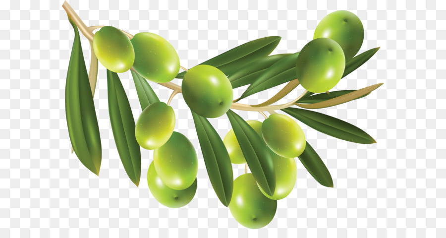Olives.png
