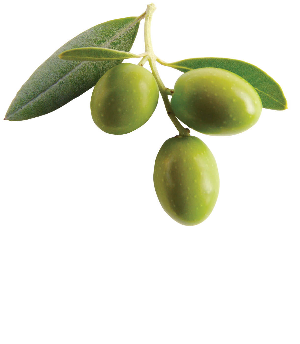 food · fruits · olives