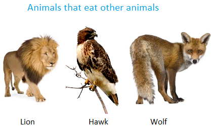 Animals that Eat both Plants 