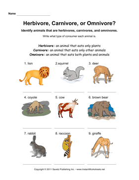 Herbivore Carnivore Omnivore - Omnivore Animals, Transparent background PNG HD thumbnail
