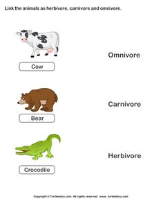Animals that Eat other Animal