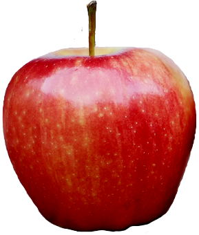 Apple Png - One Apple, Transparent background PNG HD thumbnail