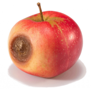It Is Well Known That Negative Interactions Have A Bigger Impact Than Positive Ones, And That People Tend To Remember A Personu0027S Bad Qualities More Vividly Hdpng.com  - One Apple, Transparent background PNG HD thumbnail
