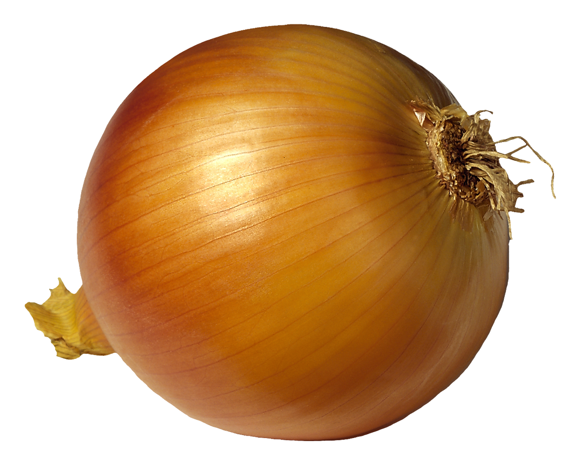 Clipart Of Onion   Clipartfox. Onion Png Picutre - Onion, Transparent background PNG HD thumbnail