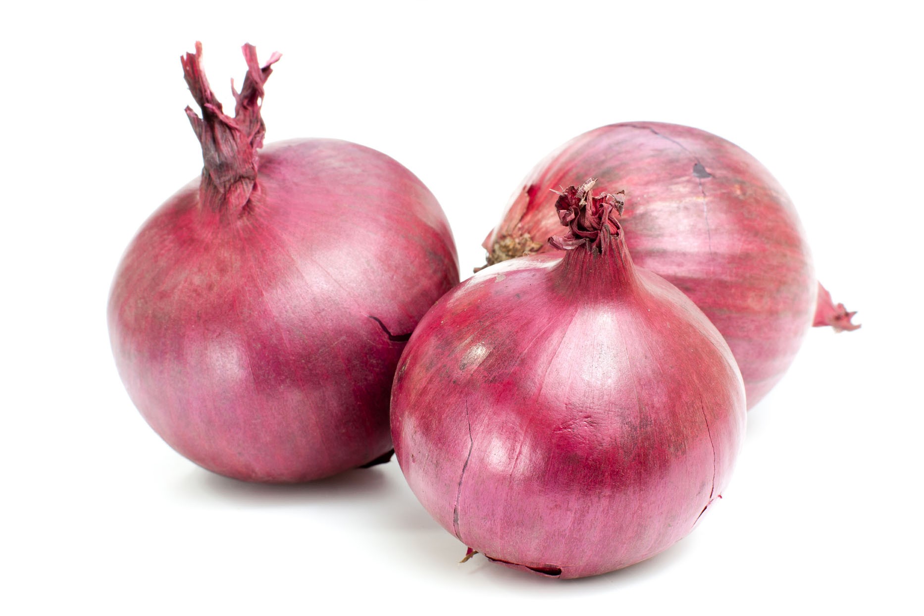 Onion White Background Hd Images - Onion, Transparent background PNG HD thumbnail