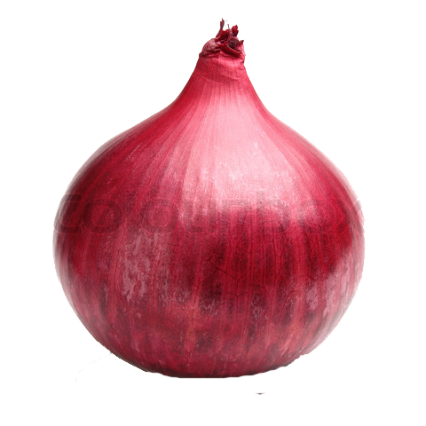 Red Onion Png File - Onion, Transparent background PNG HD thumbnail