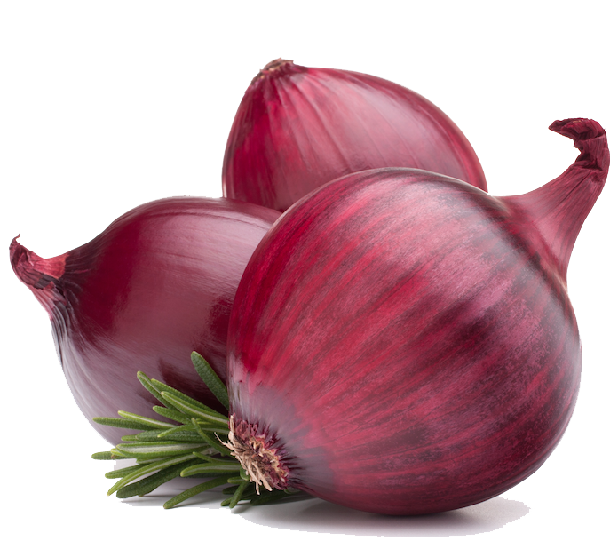 Red Onion Png Hd - Onion, Transparent background PNG HD thumbnail