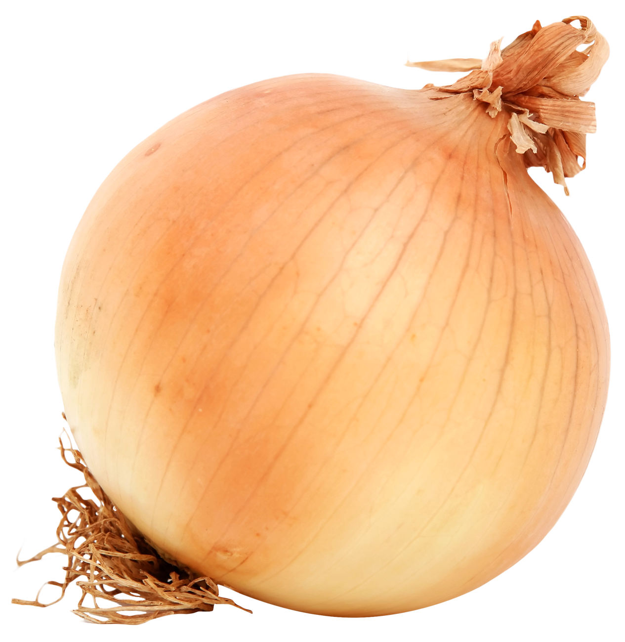 Red Onion PNG Clipart