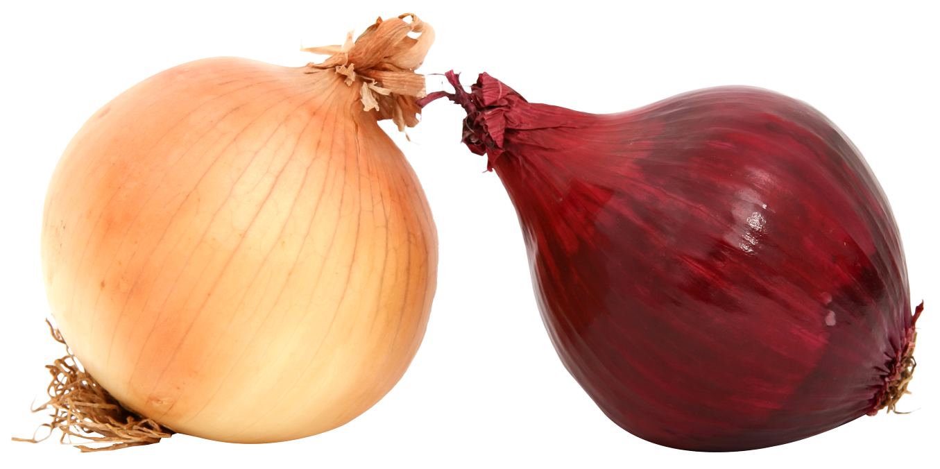 Fresh Onions Png Image - Onion, Transparent background PNG HD thumbnail